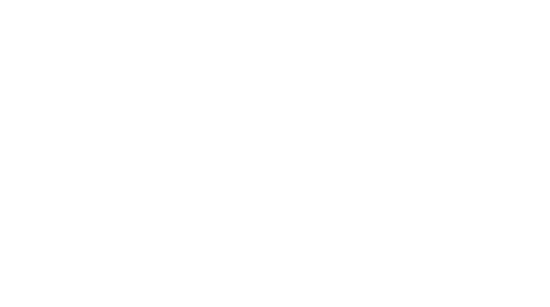 wideportal-logo